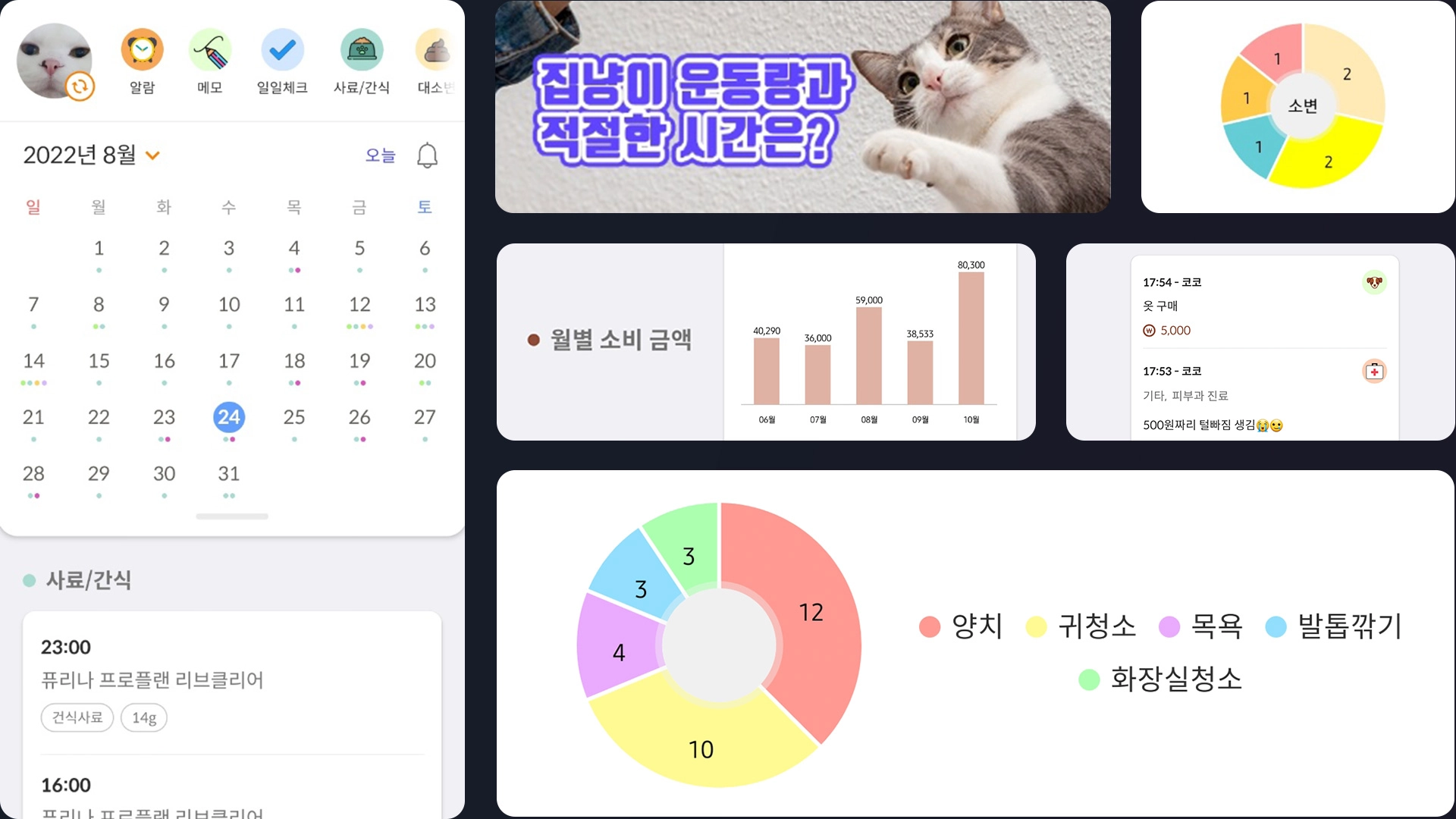 바라봄 앱의 깔끔한 기록 화면 디자인